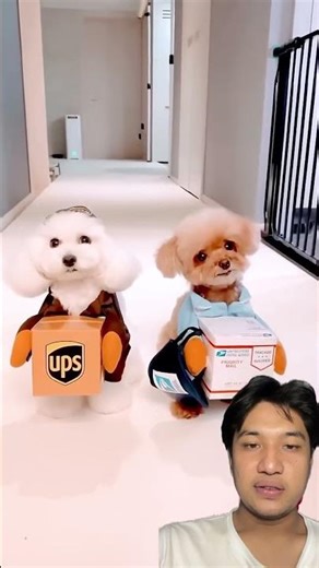 Suddenly Someone Comes Bringing a Gift‼️dubbing: @Virola_chan #shorts#funny#dubbing