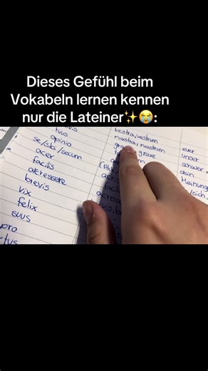 The Unique Feeling of Learning Latin Vocabulary