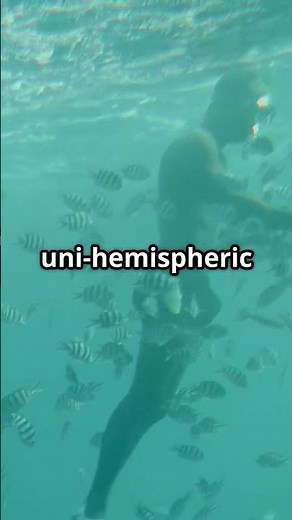 When Do Fish Sleep?! Discovering Tuna's Secret!