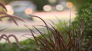 Atlanta mayor to crack down on 'party houses'