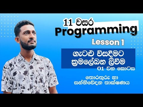 ICT Grade 11 Lesson 1: Programming ක්‍රමලේඛන | English & Sinhala | Part 1