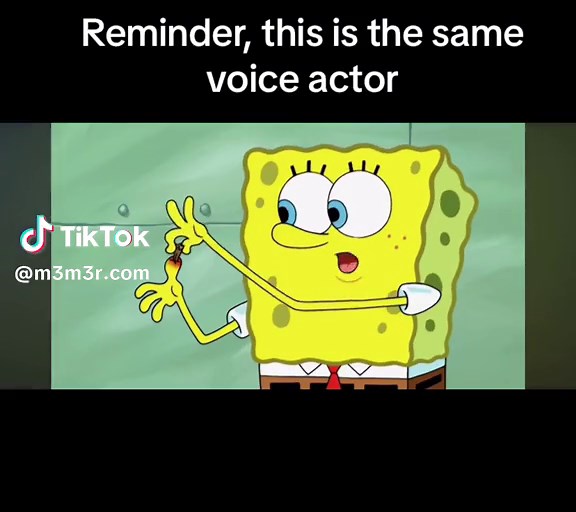 #spongebob #transformersrevengeofthefallen #tomkenny | spongebob splinter