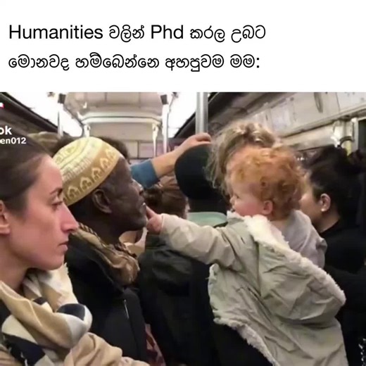 Exploring Love and Life Through Memes and Culture