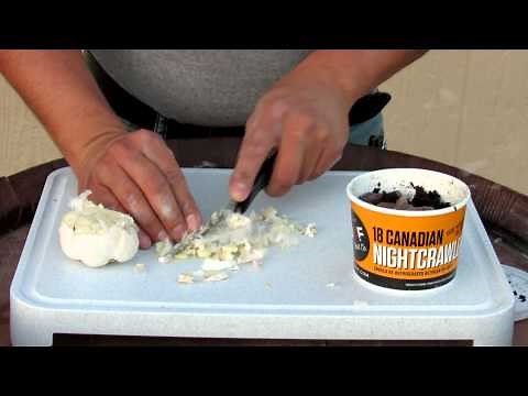 How To Make Garlic Worms For Bait