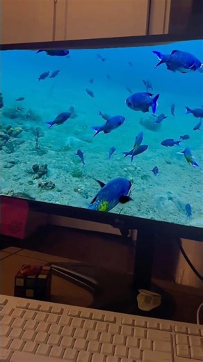 When you are stuck on land but your soul is in the ocean