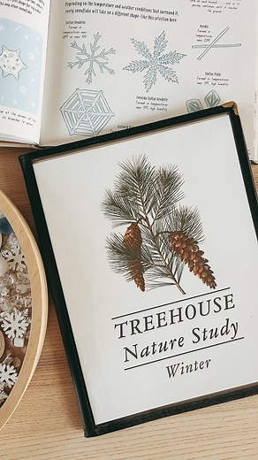 Treehouse Schoolhouse 🌿 Home Education on Instagram: "Happy Winter Solstice, friends! Let’s celebrate with a Free Unit Study! ❄️ Try out our popular Nature Study curriculum by grabbing this free download: ❄️Snow and Ice❄️ Here’s what you’ll get: ❄️ Lesson plan overview with detailed material and book list ❄️ Lesson plan grid with daily lesson instructions ❄️ Folk song lyric sheets with coordinating Spotify link ❄️ Hand rhyme lyric and hand motion sheet with coordinating YouTube video ❄️ Poetry 