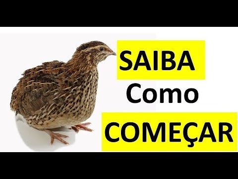 How to raise quail the easy way - Learn step by step