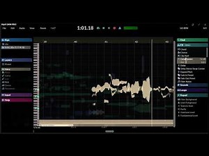 Hit'N'Mix『RipX DAW Pro』