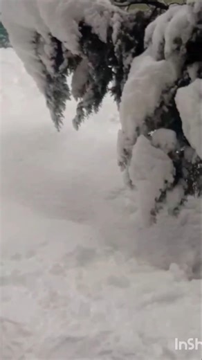 heavy snowfall in Shopian # beautiful weather ♥️ #ytshorts