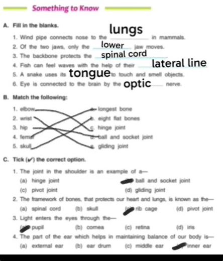 dav class 5 science objective question ch-1 #music #phonkmusic