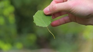 13K views · 48 reactions | « Ce que raconte *Jamais seul*, c'est...