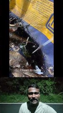 Let's zoom in on this murky water under a microscope. #dreamtoswim #shorts