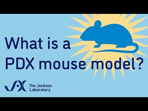 What is a PDX mouse? | Animation | Minute to Understanding