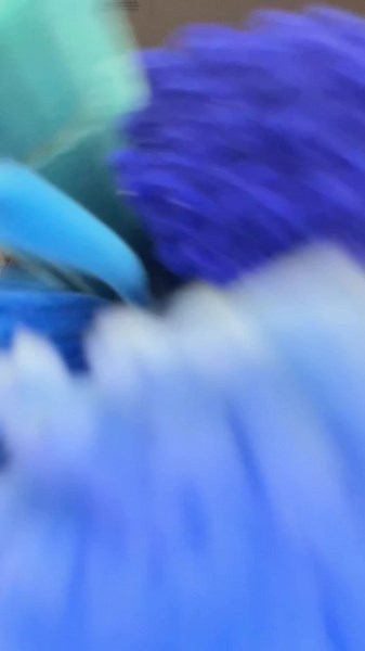 Creative Transition Ideas for Flower Arrangements