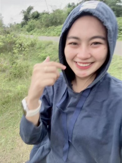 Cow Sounds Compilation