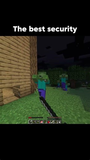 Unpredictable security 📸 #hacatho #memes #minecraftjokes #support #gaming #minecraft #minecraftmeme