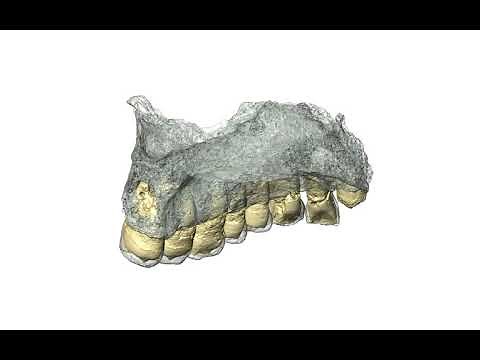3D reconstruction of oldest modern human fossil found outside Africa
