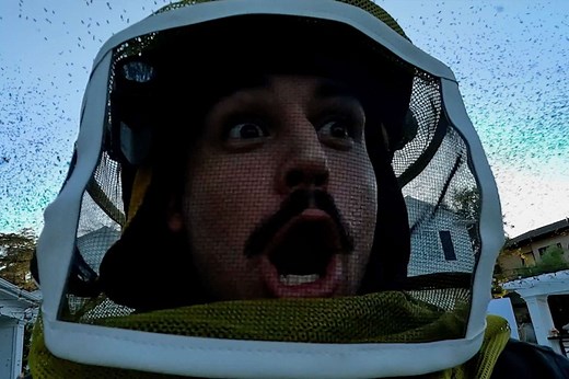 '9-1-1' season 8 preview clip shows 'bee-nado' attacking Los Angeles (exclusive)