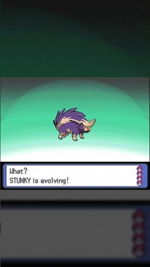 Stunky Evolution in Pokemon Platinum #Shorts