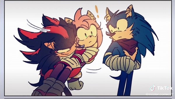 Sonic, Amy, and Shadow Fan Comics Showcase | Mistyigel