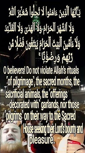 QuranicRecitationWithTranslation Verse02آیت | Al-Ma'idah/ مَآئِدَةًۭ ال |#quranictranslation #quran