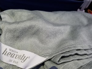 Comedian Tells Conan About Finding Poop in Her Blanket on Delta Airlines - View from the Wing