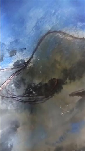 winter wolf drawing with watercolor