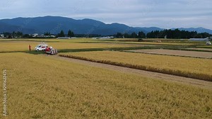 空撮 日本の秋 稲刈り 作業風景