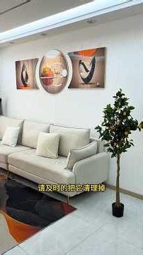 ep249For example, a three-panel decorative painting like ours for the living room get three#shorts