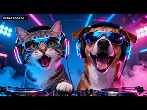 Cats and Dogs Go Crazy on DJ Beats |Viral Dance Video
