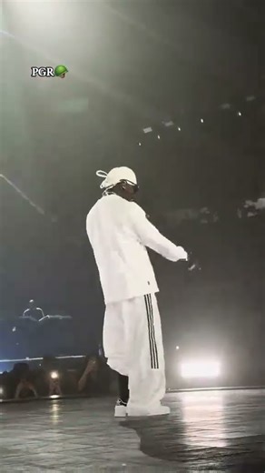 Asake Mr money with the vibe 🤩✨ #concert #viralvideo #afrobeatslovers #foryou #asake #foryou