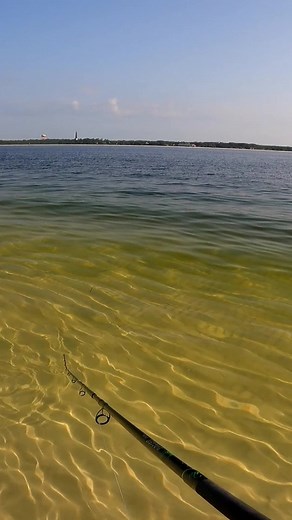 5.1K views · 286 reactions | Yanking Fish out of the Water! | Justin Reed Fishing | Facebook