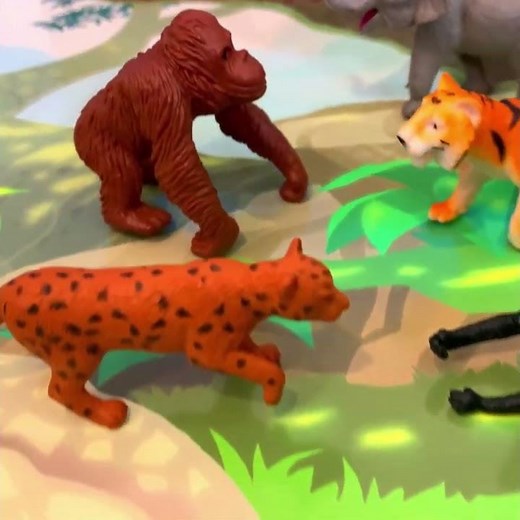 Endangered Animals Show & Tell! No Touch, Just Look & Learn