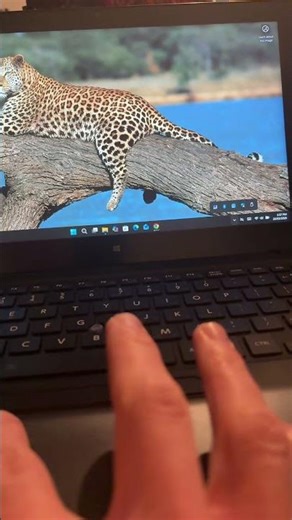 Running Windows 11 25H2 on a unsupported Toshiba laptop tablet in 2026 part 4