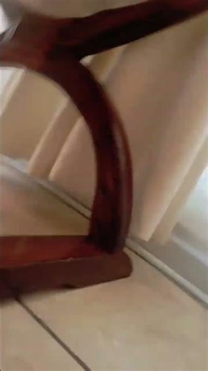 una pulga aventurera