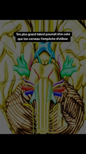 Développez votre potentiel caché grâce à la neuroscience