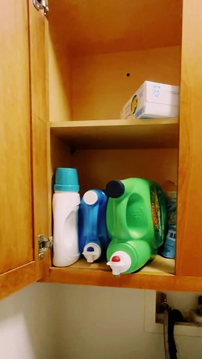 50K views · 1.5K reactions | Reasons why Dollar Tree is amazing! -Laundry room organizing edition #dollartree #dollartreefinds #dollartreeorganization #dollartreelaundry #dollartreehacks #dollartreestorage | Windy City Crafts | Facebook