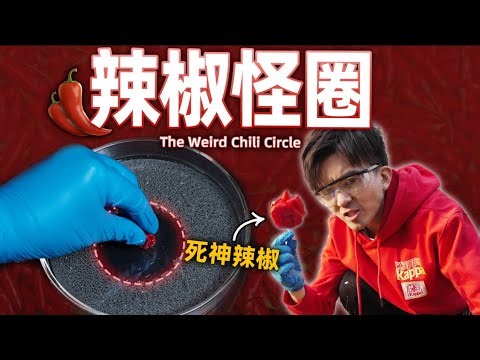 【毕导】这是世界上最辣的死神辣椒，它有一个诡异的现象…… #死神辣椒 #CarolinaReaper #science #知識分享