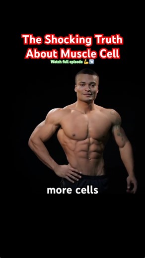 The shocking truth about muscle cell division!