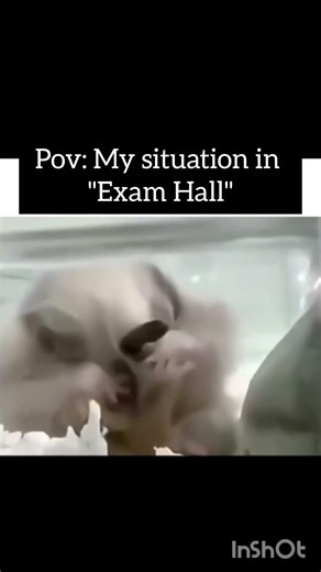 That one kid during exam hall 💀 #relatable #memes #shorts