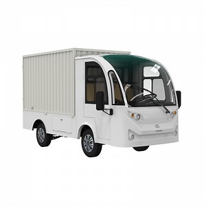 [Hot Item] Customized Electric Mini Truck 2 Seater Electric Restaurant Utility Cart with Cargo Box