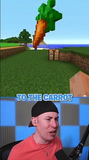 Steve Made Sonic The Pig! *Minecraft*
