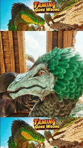 What Did Nester Just Say??..