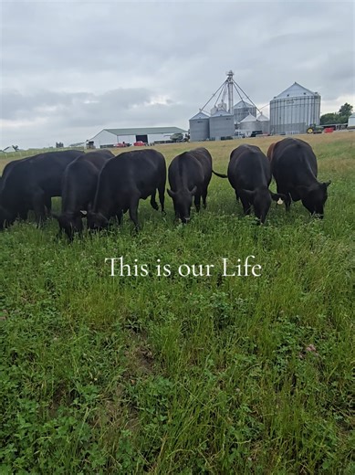Life on a Family Farm: Duling Family Farms Journey