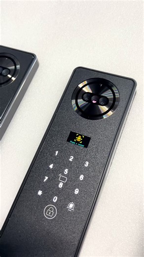 Tuya Smart Door Lock: Video Monitoring and Intercom Features