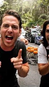 pumpkin burst over the alligator He looked around for help but no one came #truestory #realstory