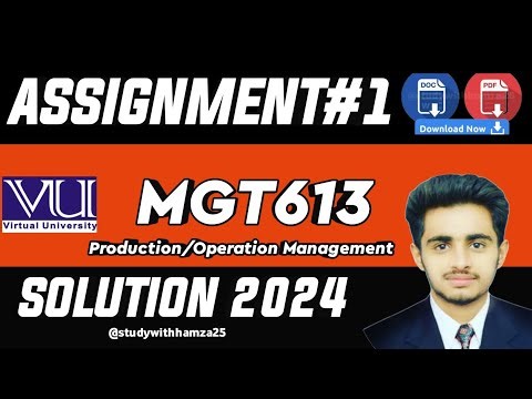 MGT613 Assignment No 1 Solution 2024 | MGT613 Assignment 1| MGT613 Solution | NOVEMBER 2024 |