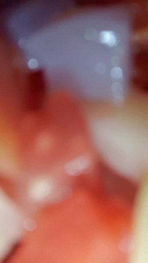 Tahirpendu on TikTok