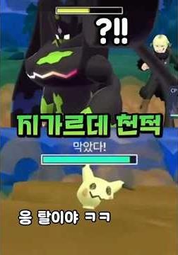 노실드 따라큐로 지가르데 2실드 제거해서 승리하기 ㄷㄷ [포켓몬고]