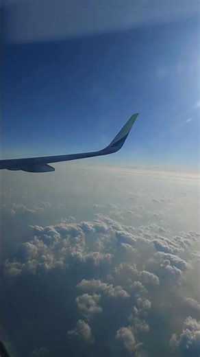fantastic sky view🌏✈️☁️ #sky #airplane #skyview #beatifulnature #skycam #airbusan #koreanair #shorts